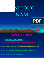 Sinh D C Nam