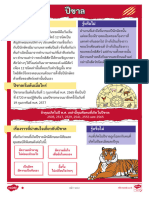 ป.1-ป.6 วิชาภาษาไทย ใบงานฝึกทักษะการอ่านจับใจความสำคัญ เรื่อง ปีขาล