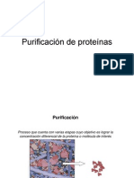 T15-Purificacion