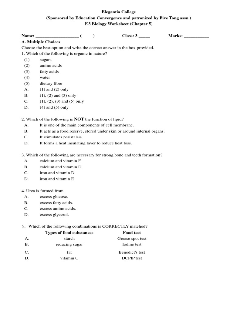Muscle Man Worksheet Answers