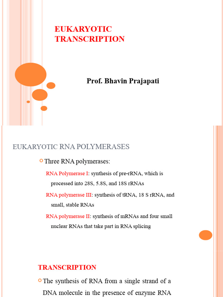 Eukaryotic Transcription Overview | PDF | Promoter (Genetics) | Rna