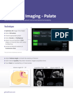 3d Palate Quick Card Voluson 2020