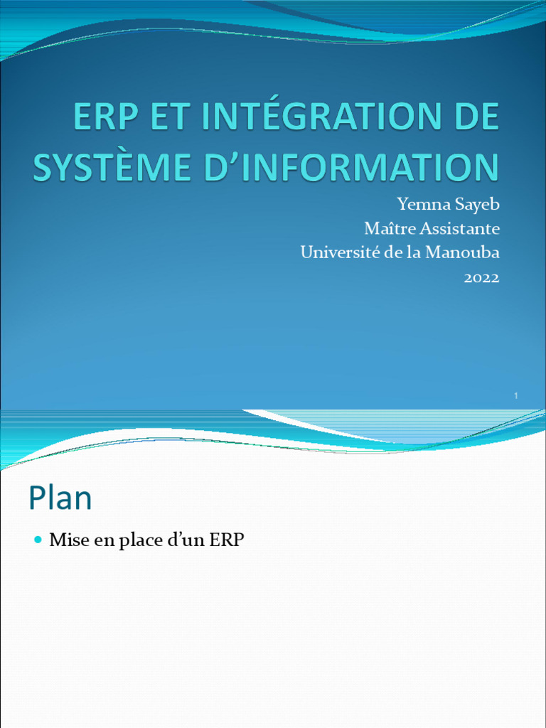 Intégration et Méthodologie des ERP | PDF | Progiciel de gestion ...