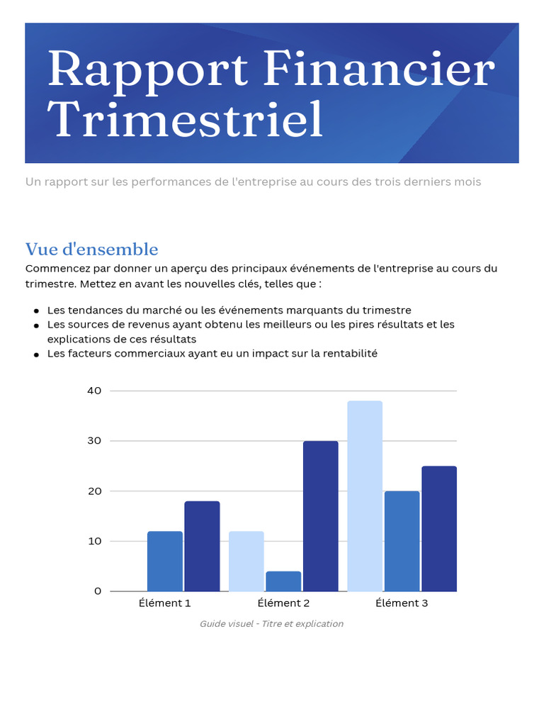 Canva Docs Rapport Financier Dans Un Style Professionnel Et Classique ...