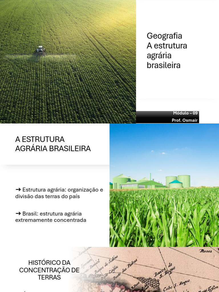 Estrutura Agrária e Reforma no Brasil | PDF | Brasil | Economias