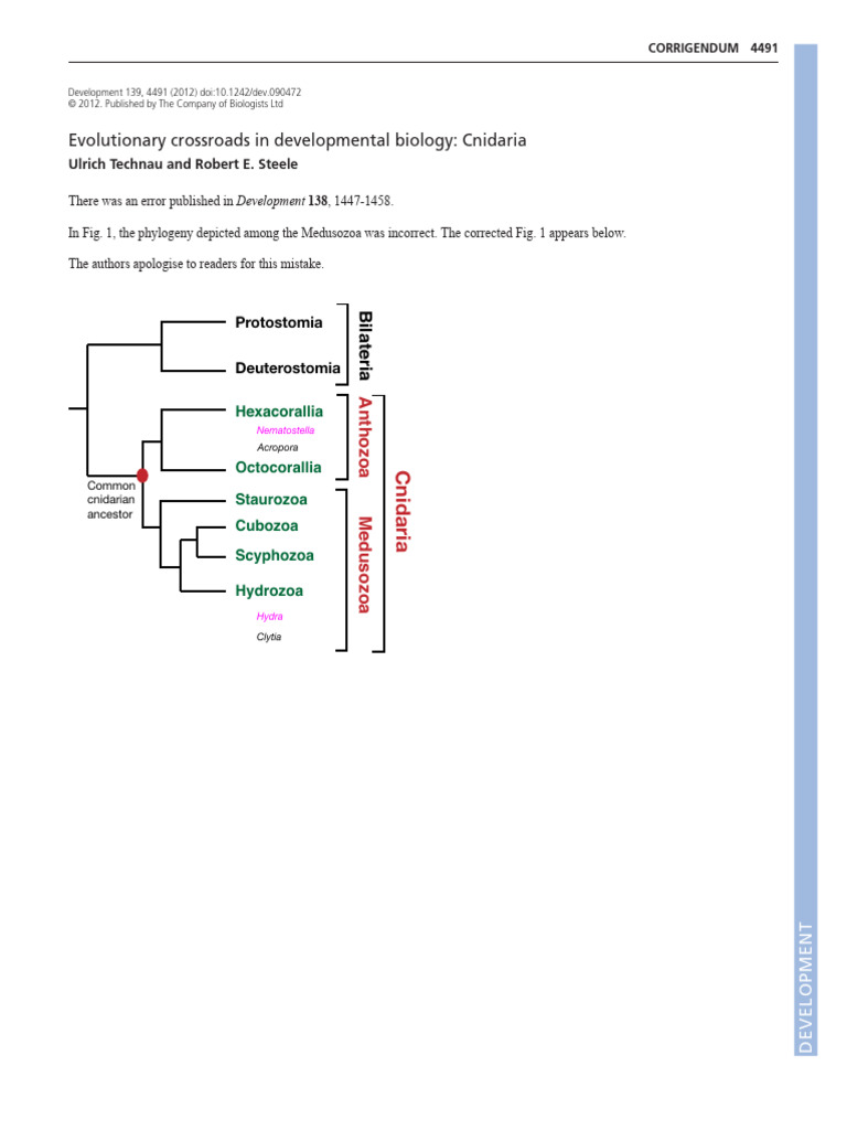 Cnidaria Developmental Biology Insights | PDF | Life Sciences | Biology