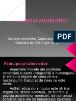 Principii Si Valori Etice-93829