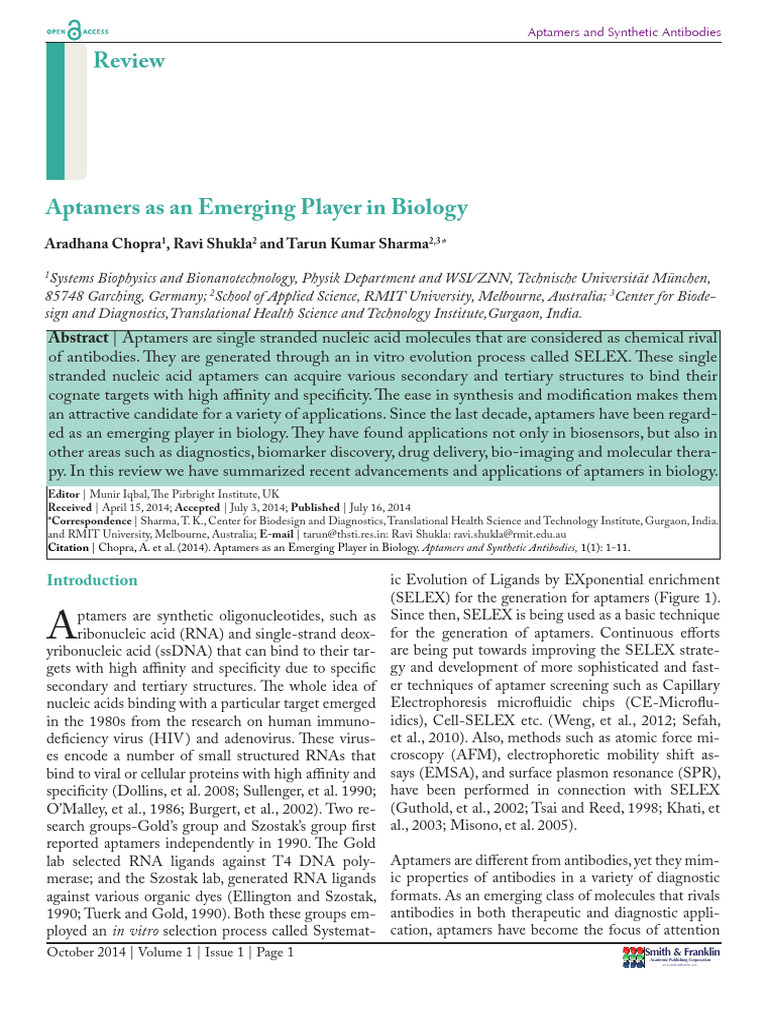 Aptamers in Drug Delivery Applications | PDF | Small Interfering Rna ...