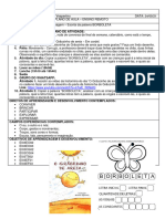 4 - Semana de aula (Planejamento)