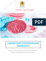 Rapport de Stage