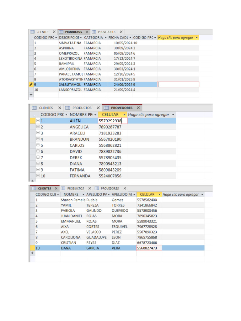 Base de Datos | PDF
