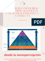 Integracion Sensorial Diplomado UAEM