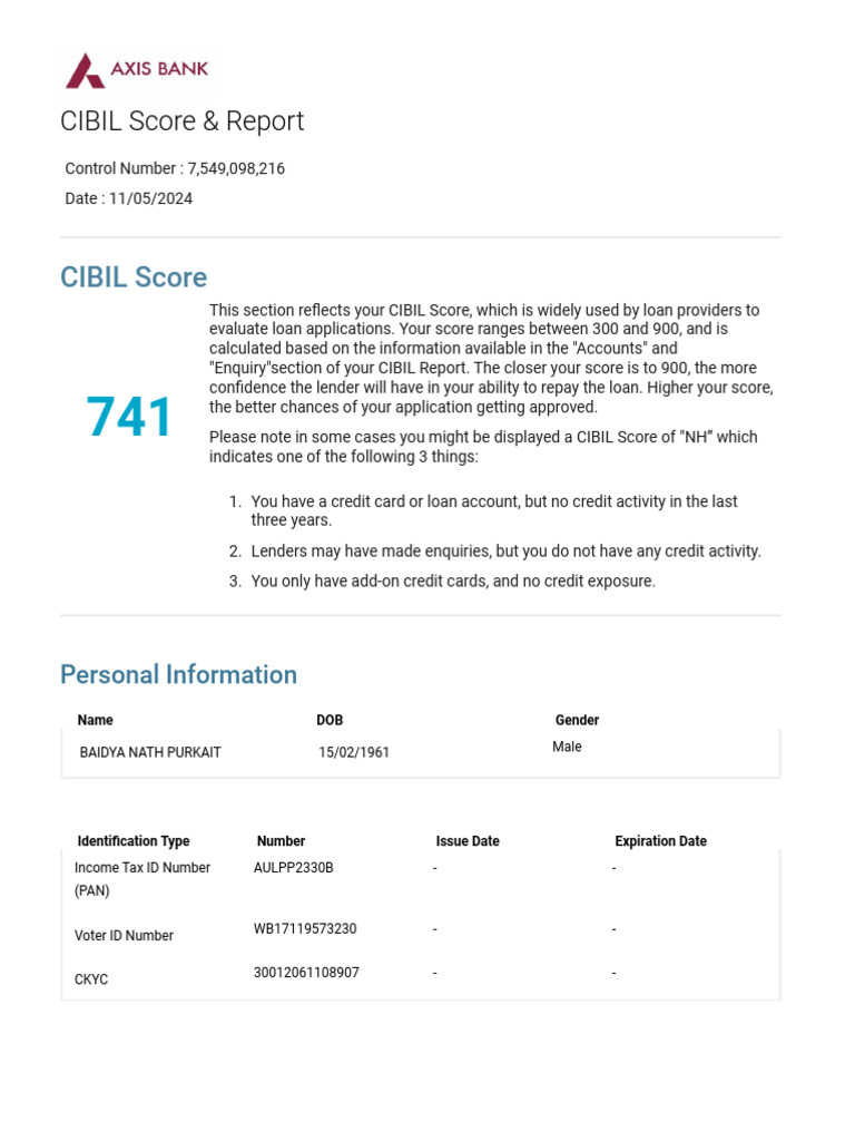 Credit Report Pdf Finance Money Management Credit
