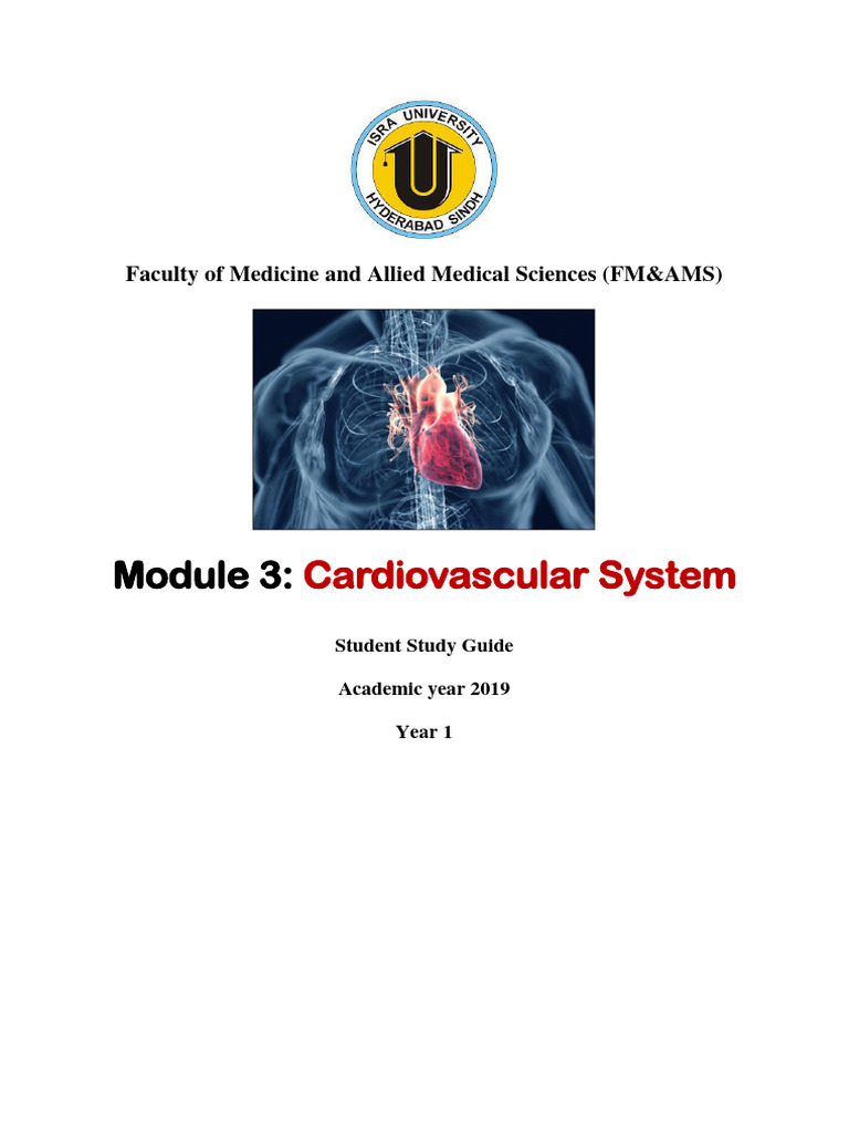 Module 3 Cardiovascular System SSG | PDF | Heart | Aorta