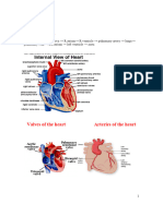 Short Cardic Tab