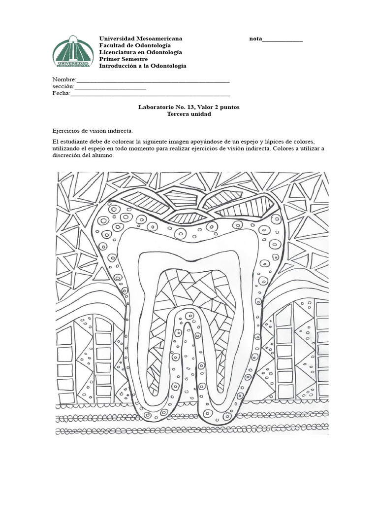 Ejercicios de Visión Indirecta en Odontología | PDF