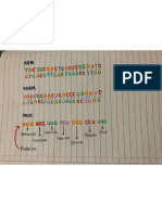 Decodificación Del ADN Formación de Proteínas