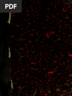 Glagolitacloz | PDF