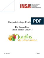 Rapport Stage PDF