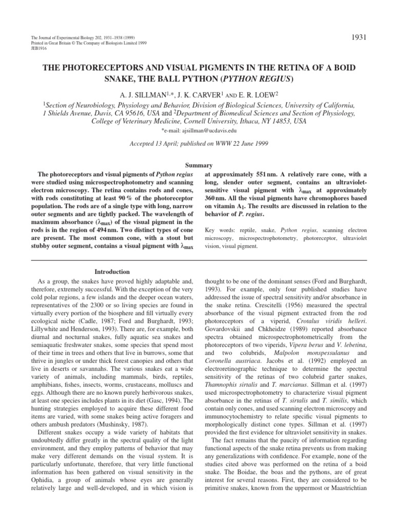 The Photoreceptors and Visual Pigments in the Retina of a Boid Snake ...