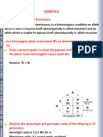 Genitics PDF