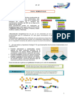 TP 3 BIOMOLECULAS