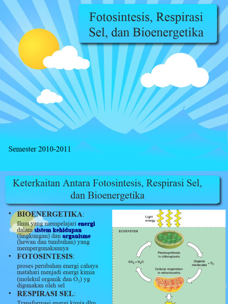 Bioenergetika: Fotosintesis dan Respirasi | PDF