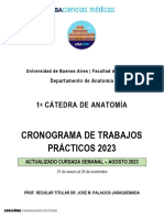 Cronograma de Trabajos Prácticos 2023 - Semanal - 2