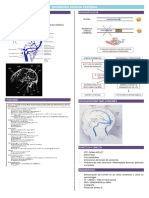 3 Neuro - TVC