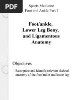Foot and Ankle Anatomy Labeling Lab | PDF | Foot | Ankle