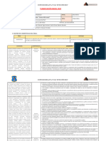 Planificación Anual 1°