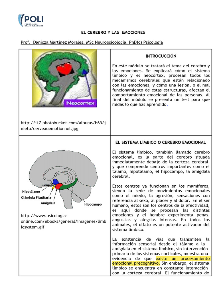 El Cerebro Emocional | PDF | Tálamo | Las emociones