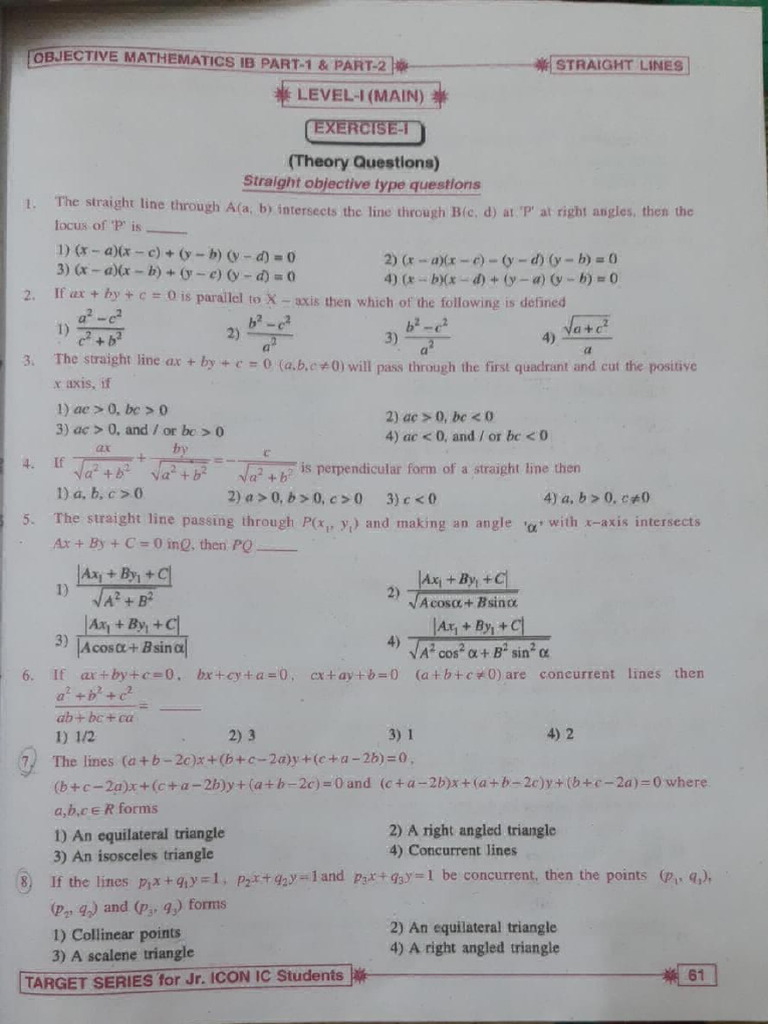 Straights Lines Assignment | PDF