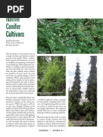 Download Captivating Native Conifer Cultivars by Mark Richardson SN73389743 doc pdf