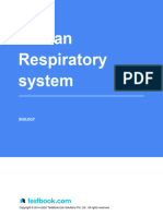 Respiratory System - Study Notes