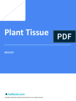 Plant Tissue - Study Notes