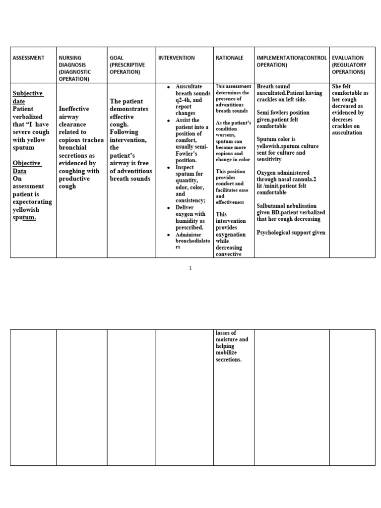 care-plan-format-ineffective-airway-pdf-cough-respiratory-tract