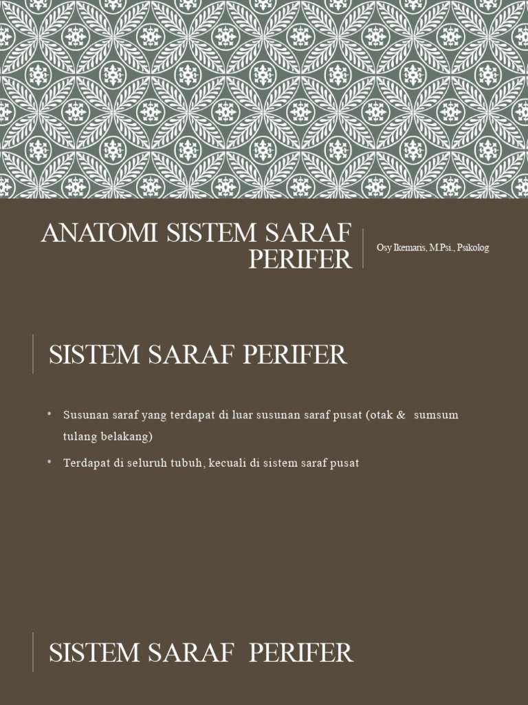 Anatomi Sistem Saraf Perifer | PDF | Kesehatan Holistik
