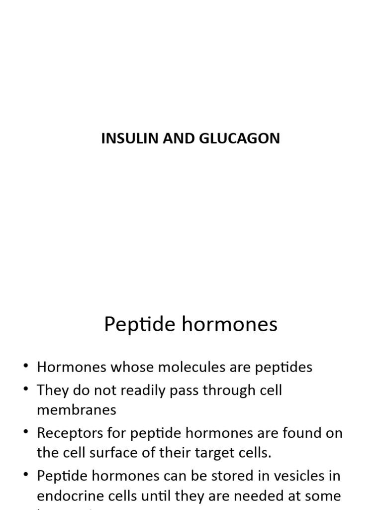 Insulin and Glucagon 2 | PDF | Insulin | Metabolism