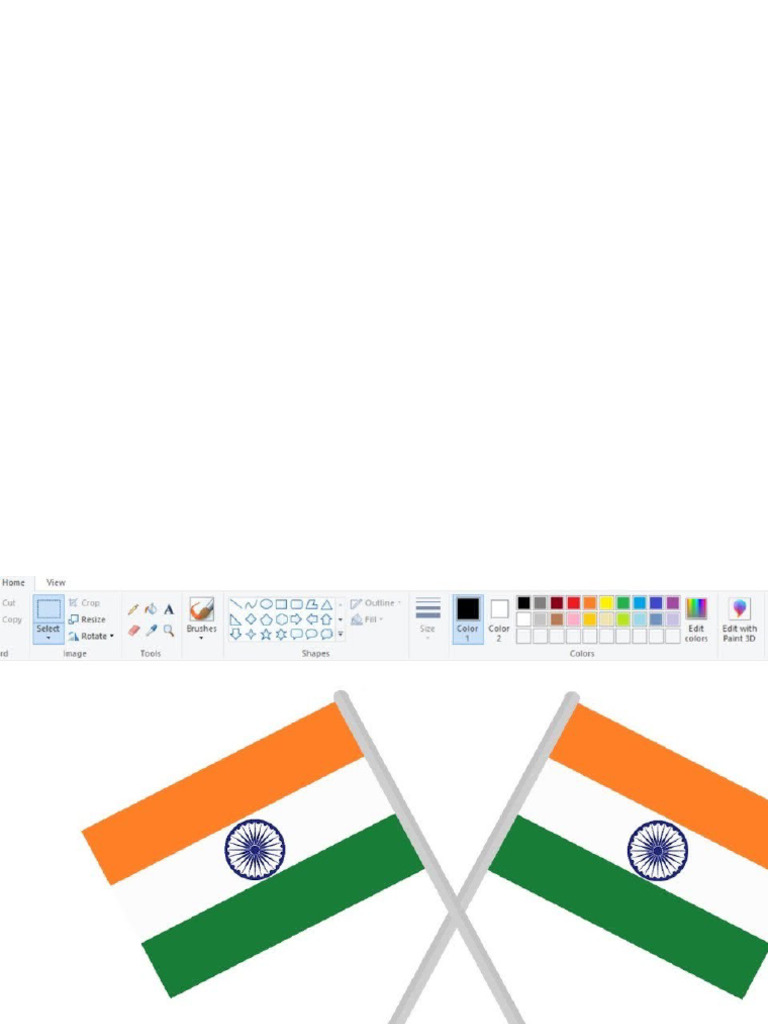 FLAG | PDF