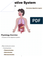 Ch.23 - Digestion