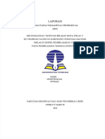 PDF Contoh Laporan PKP Ut PGSD 2023 Compress