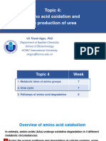 Biochem2-Week 7-Fates of N Group-Urea Cycle