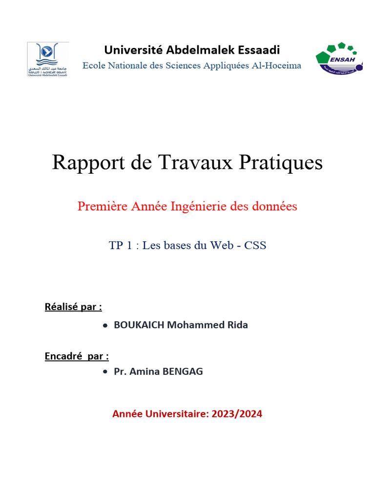 Compte Rendu TP CSS - Rida | PDF | Langage de balisage | Formats de ...