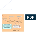 U6 Thyroxine Quiz