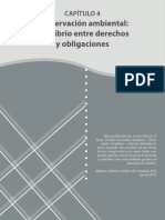 Conservación Ambiental-Equilibrio Derechos Obligaciones