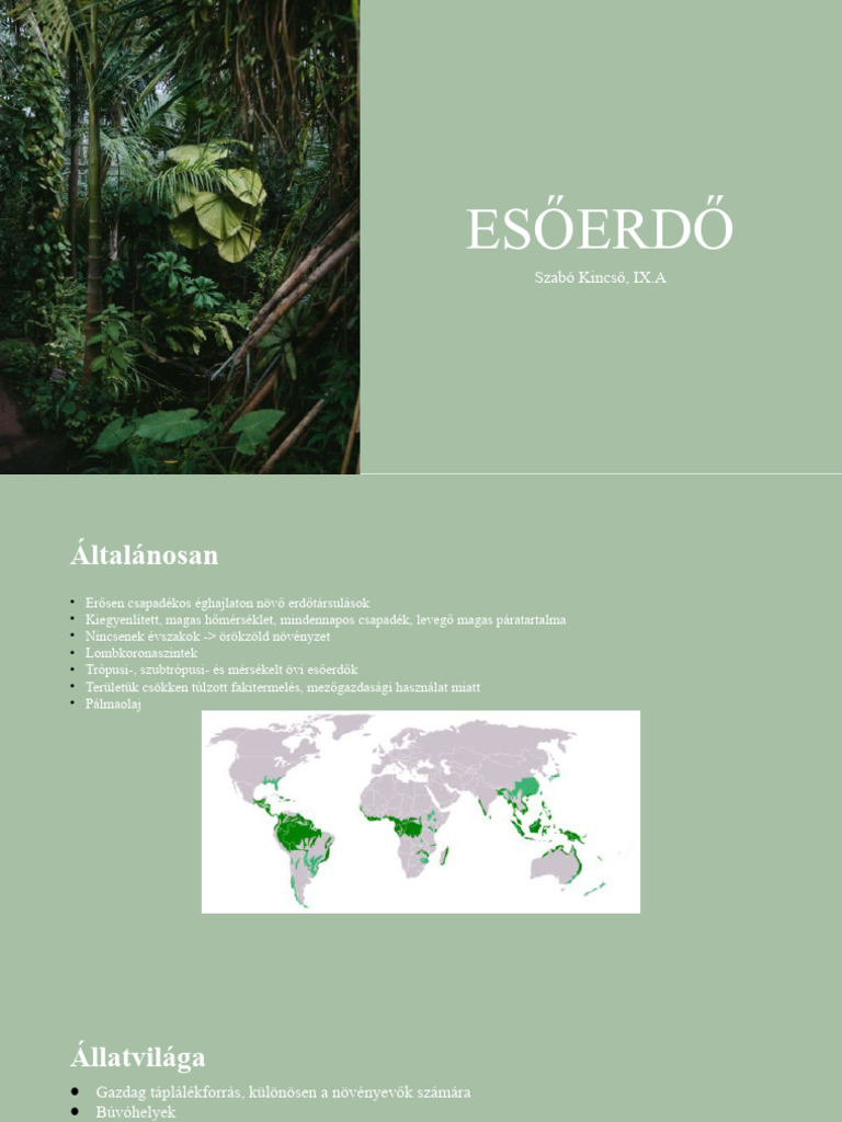 Esőerdő | PDF