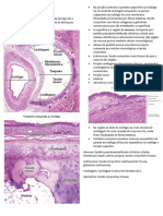 Resumo Histologia - Traquéia