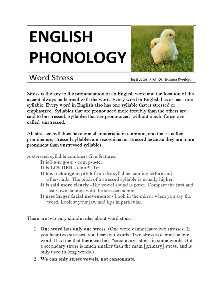 Word Stress | PDF | Stress (Linguistics) | Syllable
