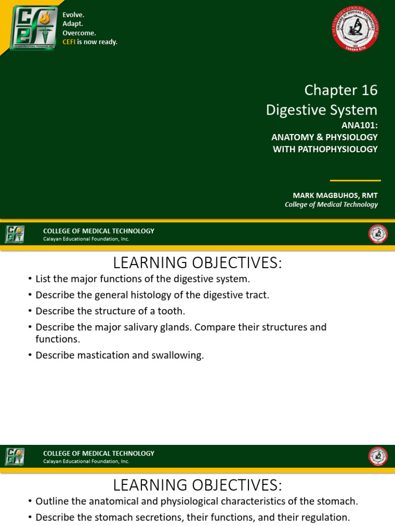 ?ncf4b31so Chapter+16+-+Digestive+System 2 | PDF | Gastroesophageal ...